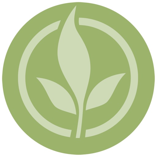 Guide for Essential Oils
