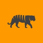 Top 40 Education Apps Like Tigercards - Custom Flashcards & Language Courses - Best Alternatives