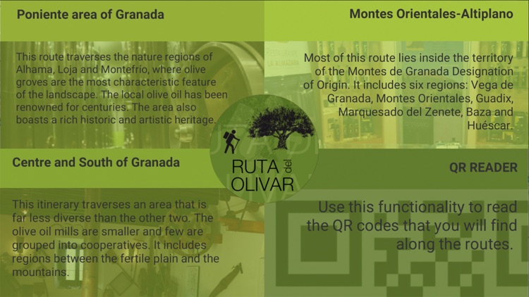 Olive tree routes