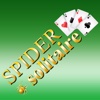 Spider Solitaire Double Fun