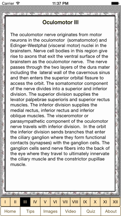 Cranial Nerves Plus screenshot-4