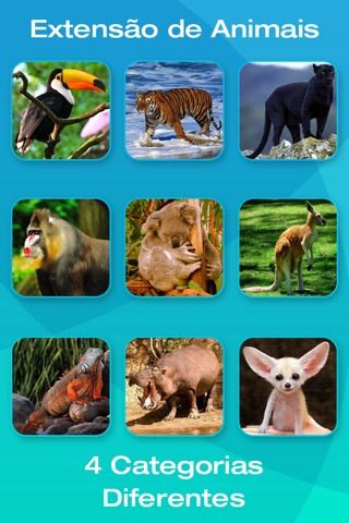 Safari and Jungle Animal Picture Flashcards for Babies, Toddlers or Preschool screenshot 4