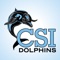 CSI Dolphins