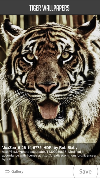 Tiger Wallpaper screenshot-3