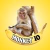 Monkey IO