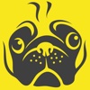 Pug Me!