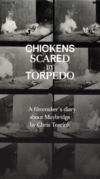 Chickens; Scared by Torpedo