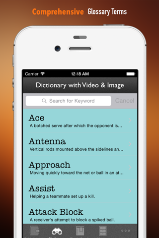 Volleyball 101: Quick Learning Reference with Video Lessons and Glossary screenshot 3