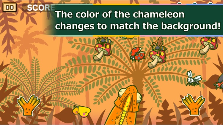 ChameleonLunch