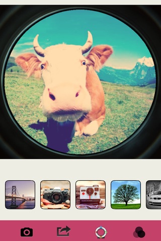 Fisheye Camera - Photo Editor, big lens For Mixing Filters, Textures and Light Colors screenshot 3