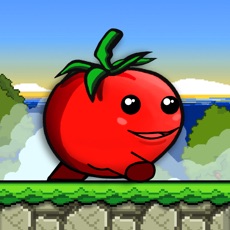 Activities of Tomato World 2