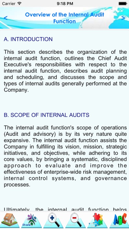 Internal Audit Manual & Process