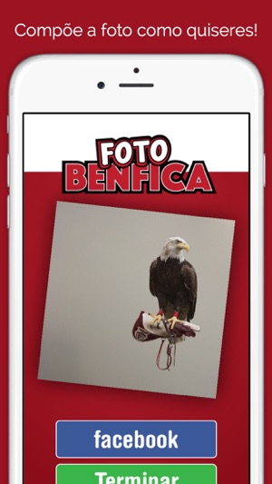 Foto Benfica(圖3)-速報App