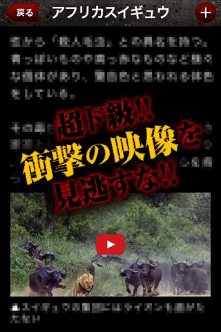 危険生物 screenshot 4