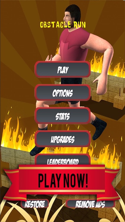 Brave Obstacle Runner screenshot-4