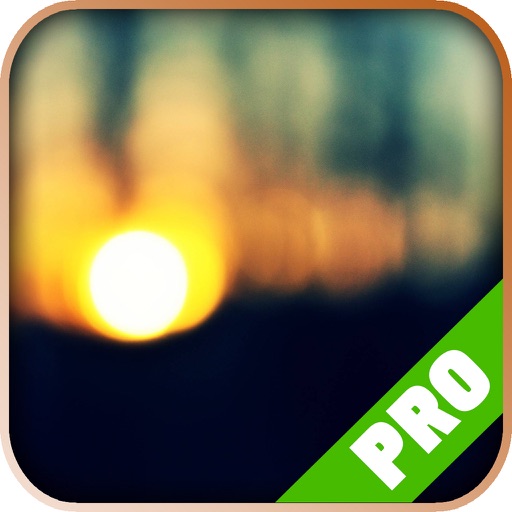 Game Pro - War of the Vikings Version Icon
