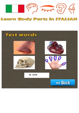 Learn Body Parts in Italian screenshot 4