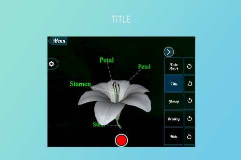 Lily 3D screenshot 4
