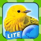 Top 40 Education Apps Like My Bird World Lite - Best Alternatives