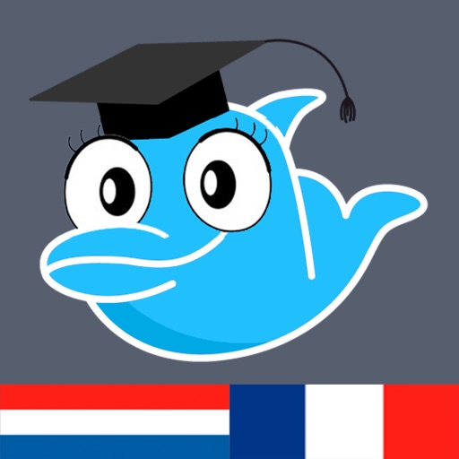 Learn Dutch and French: Memorize Words icon