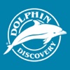 Dolphin Discovery