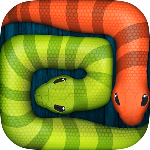 Snake Break iOS App