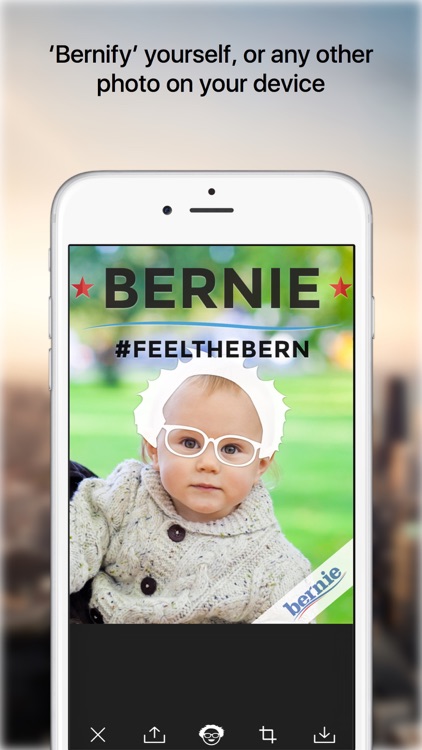 Berning Up - Show your Support for Bernie