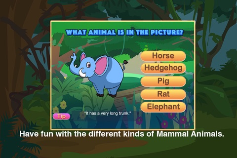 Mammal Animals of Different Kinds screenshot 2