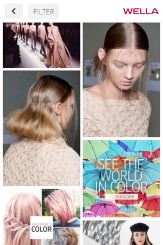 Wella Style Vision Consultation for iPhone screenshot 2