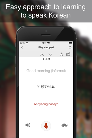 Korean Phrasebook - Learn Korean Language With Simple Everyday Words And Phrases screenshot 3
