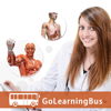 Human Body Anatomy & Strength Anatomy by GoLearningBus - Quizmine.Com