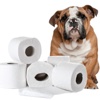 Potty Training Guide For Puppy