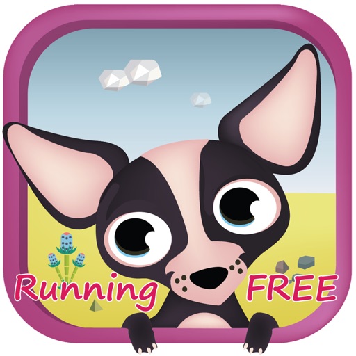 The Furious Sparky the Chihuahua in a Little Wild Jungle Free iOS App