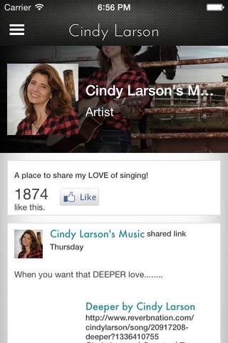 Cindy Larson screenshot 2