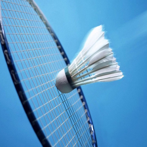 Beating Badminton icon