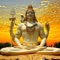 Shiva is a major Hindu deity and the Destroyer or transformer of the Trimurti