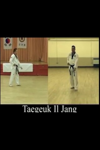 Taekwondo Pattern 1 screenshot 3