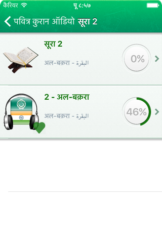 Quran Audio mp3 in Arabic and in Hindi screenshot 2