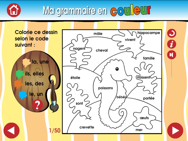 Ma grammaire en couleur