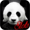 AAA Adventure of Panda Free Slots - Animal Classic Casino Slots