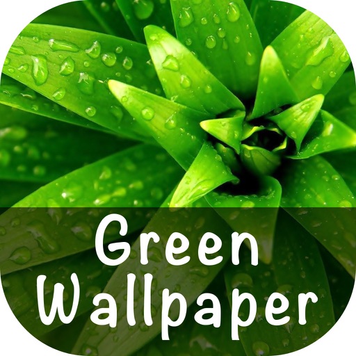 Green Wallpaper