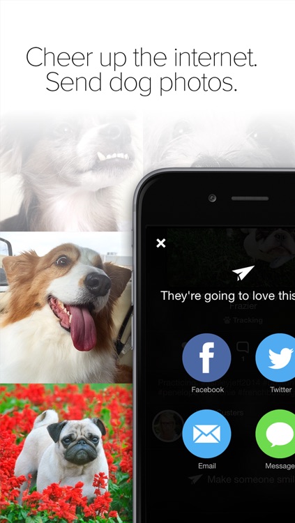 Pack Dog - Post your dog photos and meet dog owners by breed and city screenshot-4
