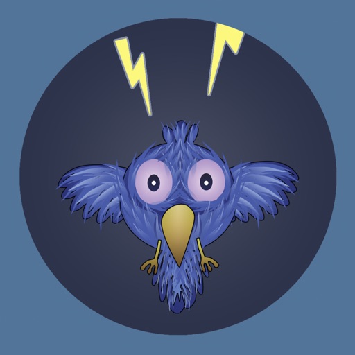 Birdy Survival iOS App