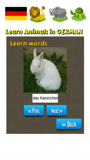 Learn Animals in German Language