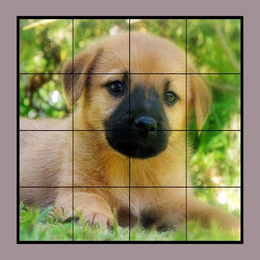 Dog Puzzles Extreme! 2 iOS App