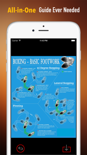 Boxing 101: Quick Learning Reference with Video Lessons and (圖2)-速報App