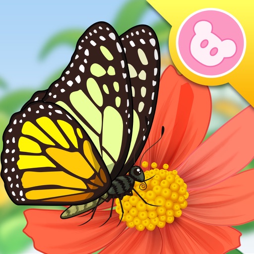 Butterfly - InsectWorld A story book about insects for children Icon