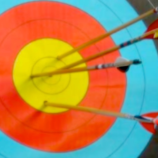 Archery Terms Icon