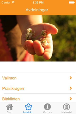 Wallåkra screenshot 2