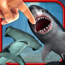 Activities of Shark Fingers! 3D Interactive Aquarium FREE